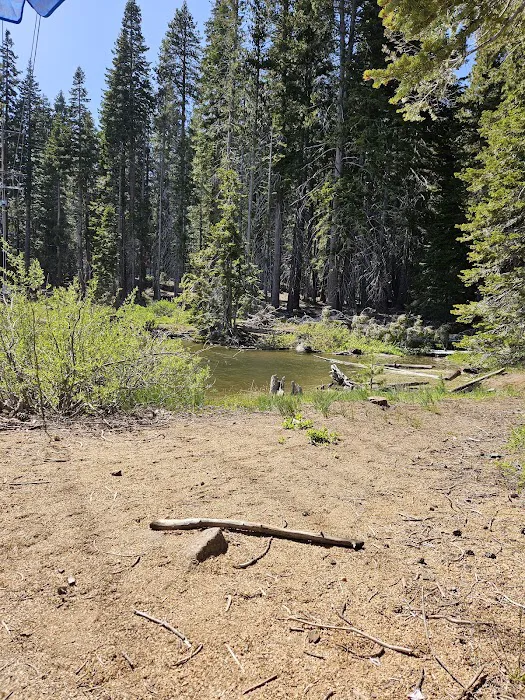 Lower Billy Creek Campground Picture 3