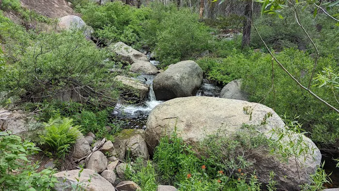 Lower Billy Creek Campground Picture 6