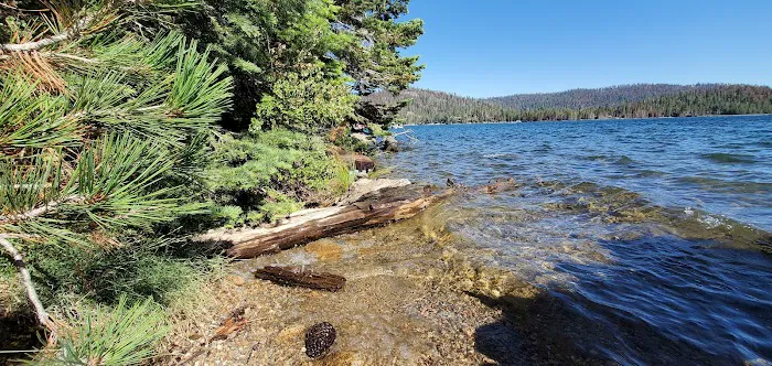 Billy Creek, Upper Campground Picture 4