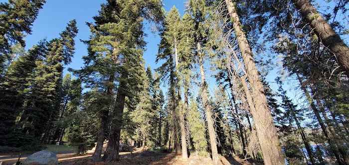 Billy Creek, Upper Campground Picture 2