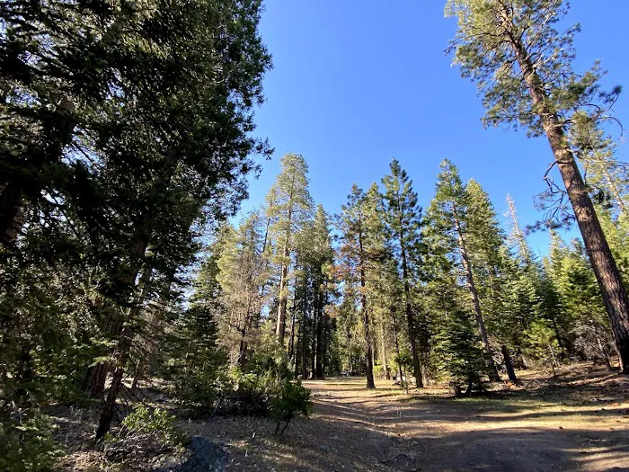 West Kaiser Campground Picture 4