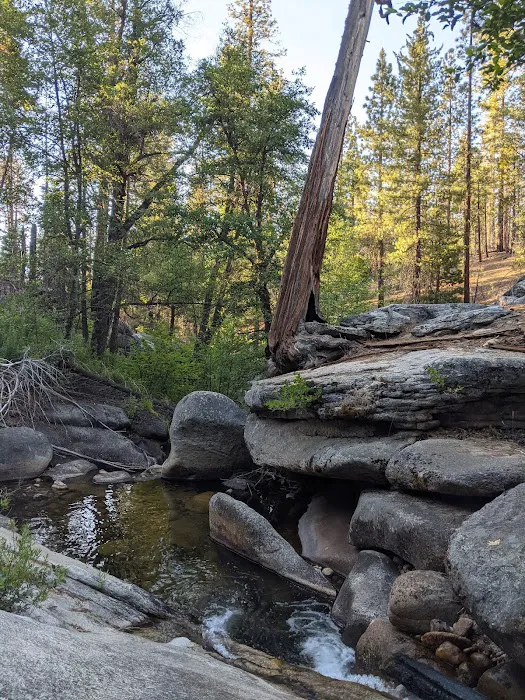 West Kaiser Campground Picture 7