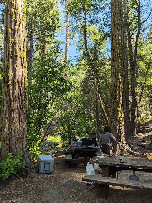 West Kaiser Campground Picture 6