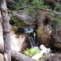 Little Jackass Campground ico