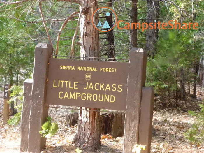 Little Jackass Campground Picture 4