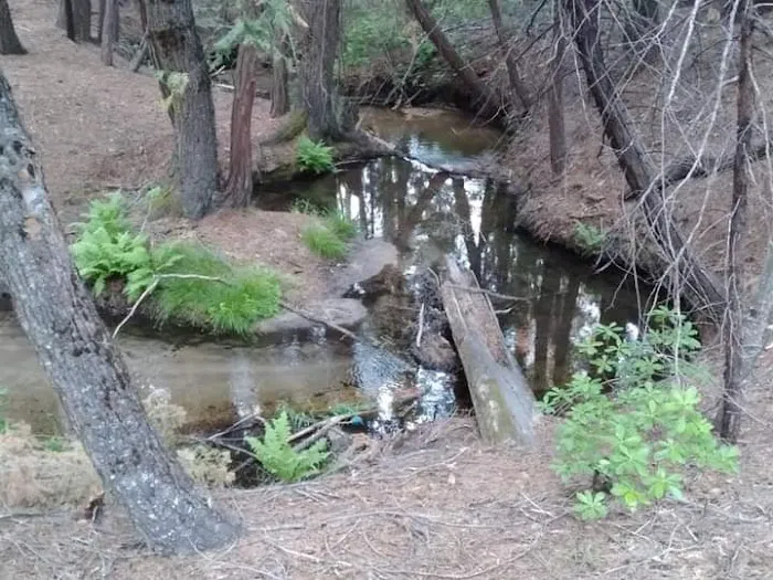 Little Jackass Campground Picture 6