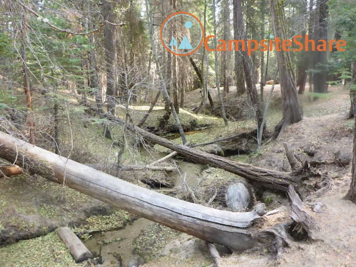 Little Jackass Campground Picture 7