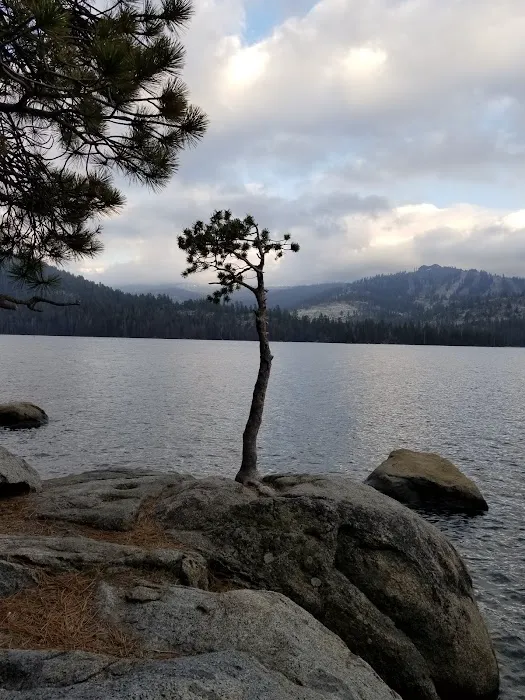 Bear Cove Picnic Site Picture 3
