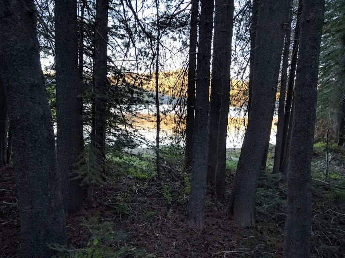 Bear Cove Picnic Site Picture 6