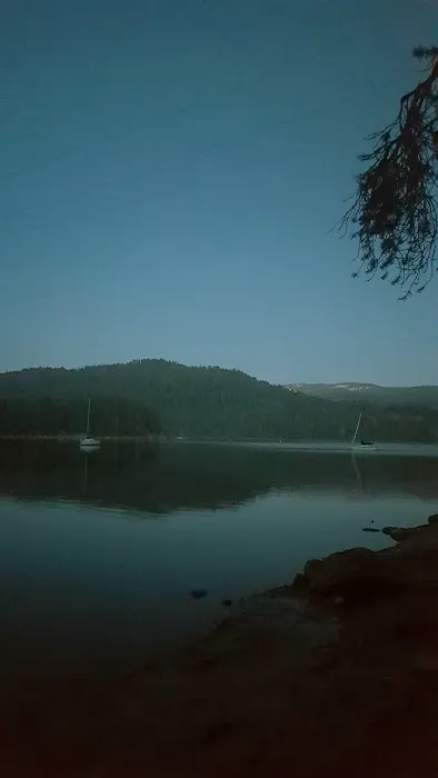Bear Cove Picnic Site Picture 8