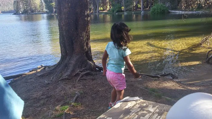 Bear Cove Picnic Site Picture 9