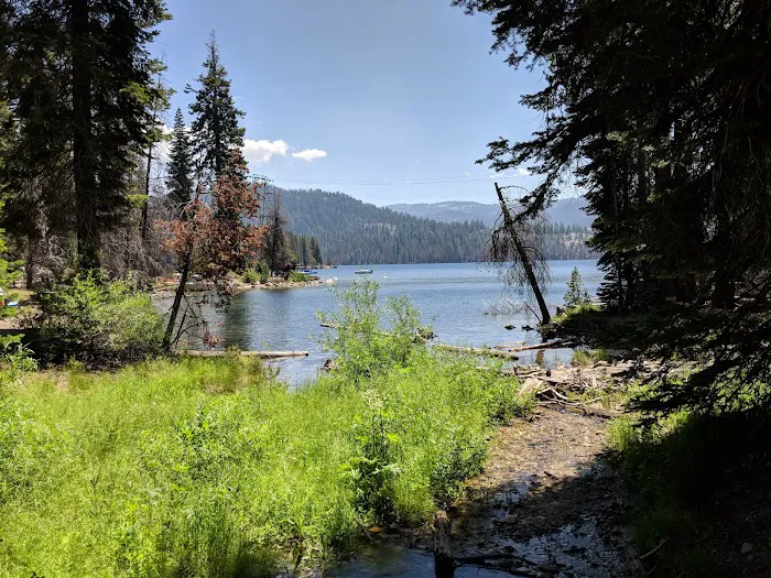 Kinnikinnick Campground Picture 8