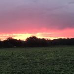 Peaceful Acres Mobile Home Park