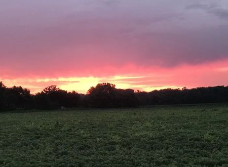 Peaceful Acres Mobile Home Park