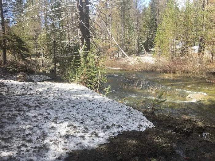 Buck Meadow Campground Picture 1