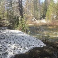 Buck Meadow Campground ico