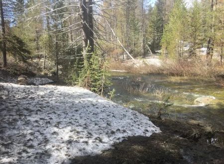 Buck Meadow Campground