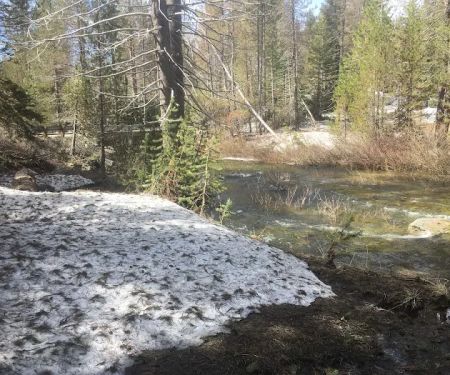 Buck Meadow Campground