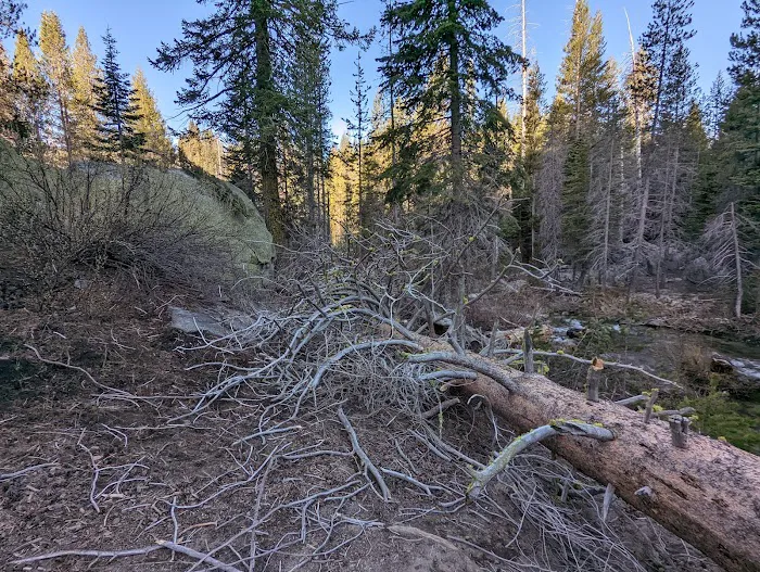 Buck Meadow Campground Picture 4