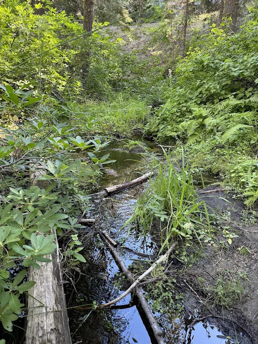 Buck Meadow Campground Picture 5