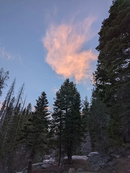 Buck Meadow Campground Picture 6