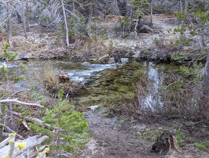 Buck Meadow Campground Picture 8
