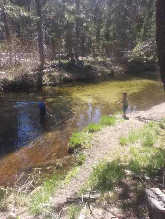 Buck Meadow Campground Picture 9