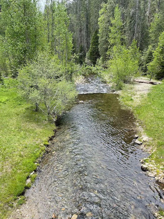 Greys Mountain Campground Picture 3