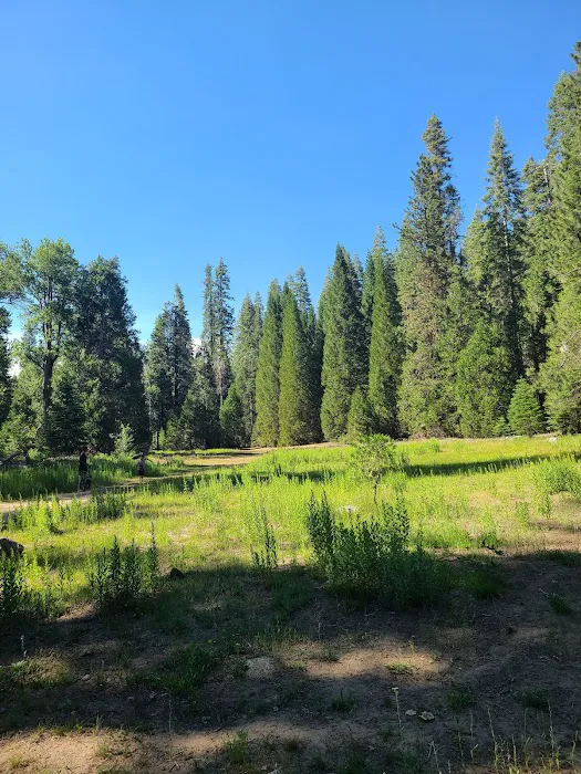 Greys Mountain Campground Picture 5