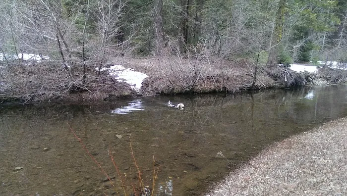 Greys Mountain Campground Picture 6