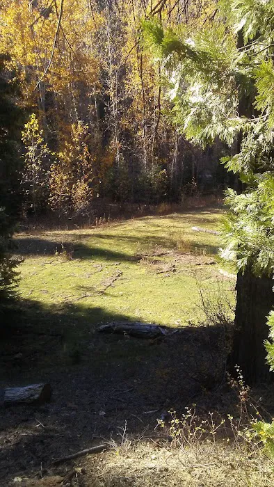 Greys Mountain Campground Picture 7