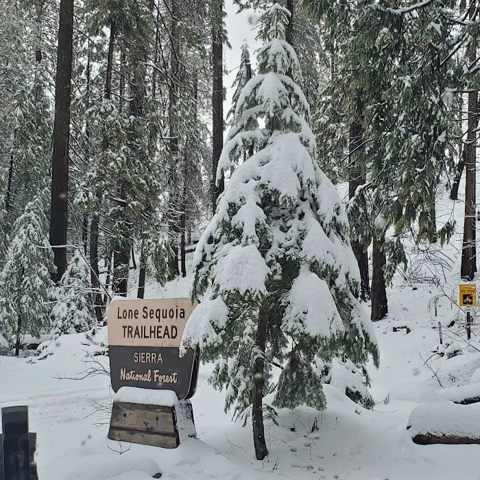 Lone Sequoia Campground Picture 4