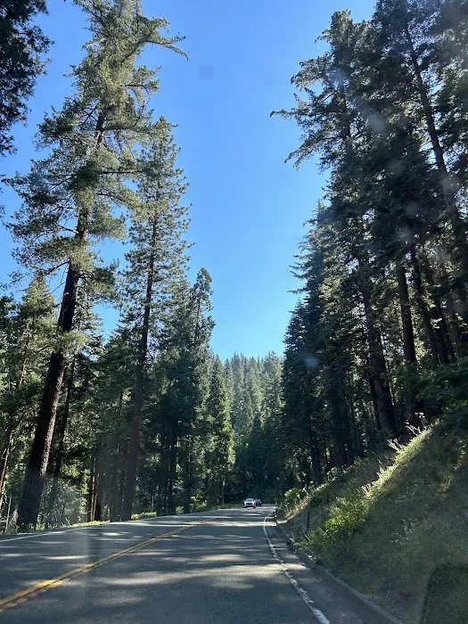 Lone Sequoia Campground Picture 5