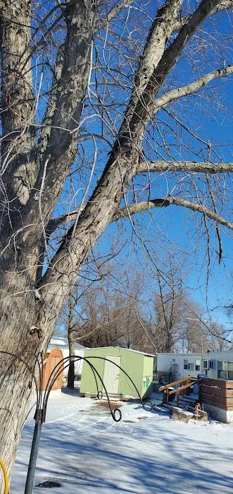 Meadowbrook Mobile Home Park Picture 5