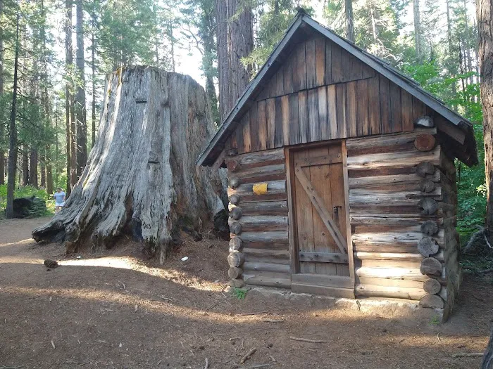 Nelder Grove Picture 2