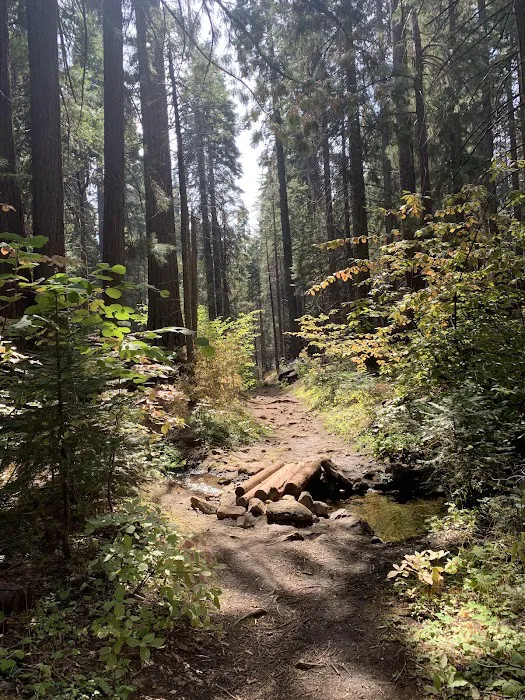 Nelder Grove Picture 5