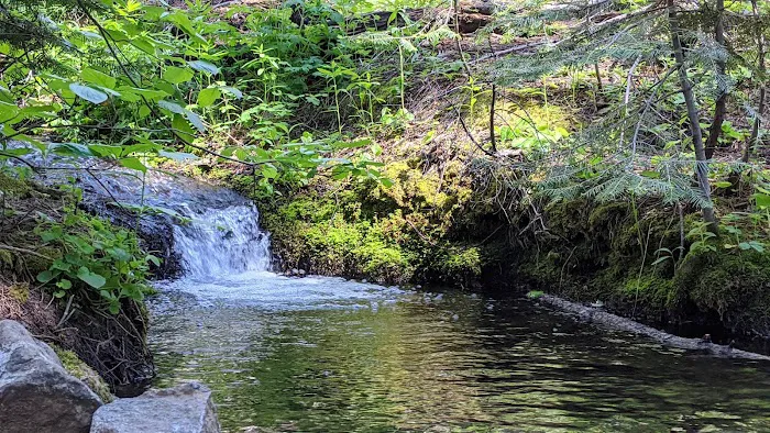 Nelder Grove Picture 4