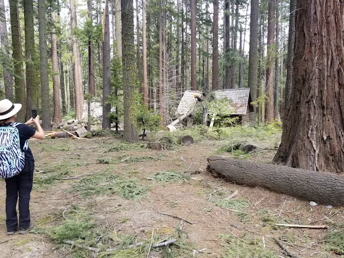 Nelder Grove Picture 7