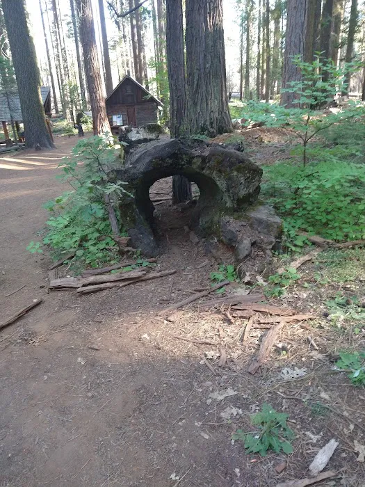Nelder Grove Picture 9