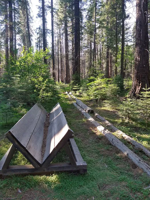 Nelder Grove Picture 10