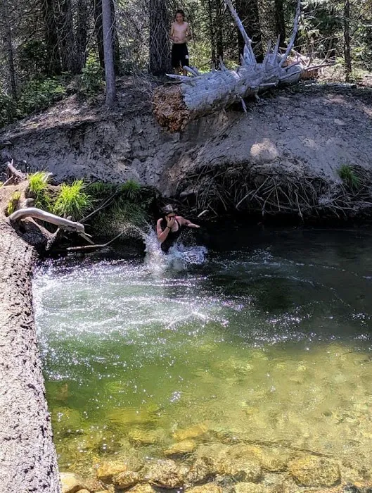 Soquel Campground Picture 6