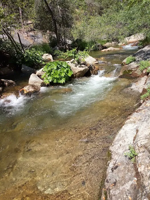 Soquel Campground Picture 9