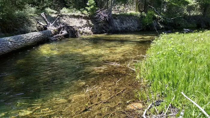 Soquel Campground Picture 10