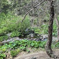Texas Flat Group Campground ico