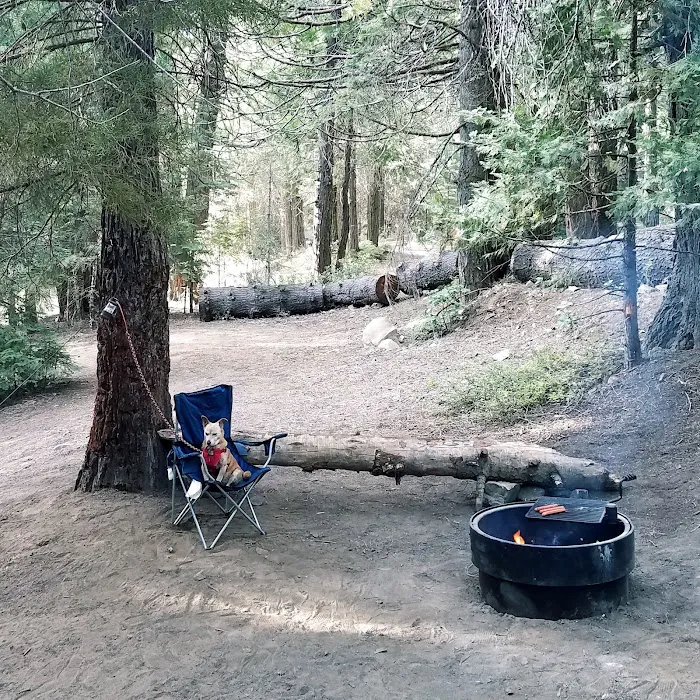 Texas Flat Group Campground Picture 2
