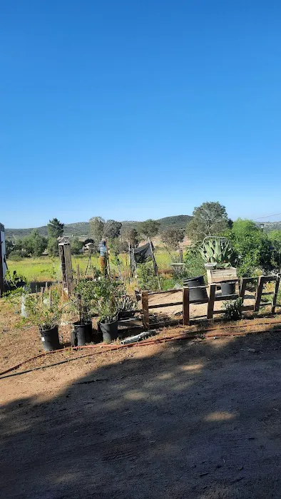 Rancho de Cumpas Picture 3