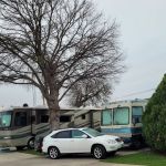 Cicada Springs RV Park
