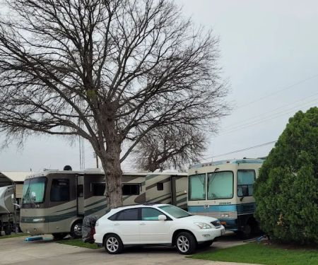 Cicada Springs RV Park