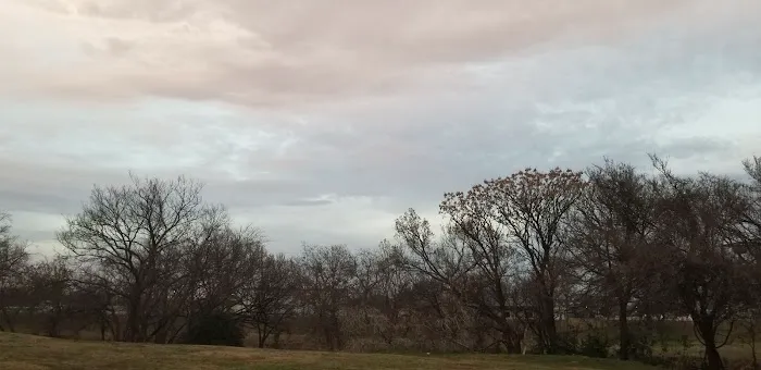 Cicada Springs RV Park Picture 8