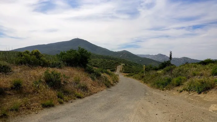 Corral Canyon Campground Picture 3